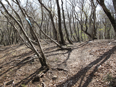 20140502hike (331)